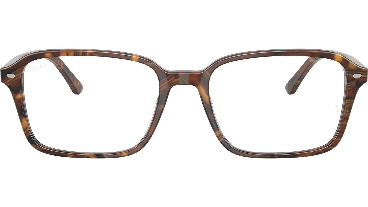 Raimond Optics RB5431 8395