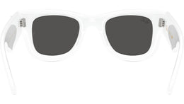 Wayfarer Puffer RB4940B 686387