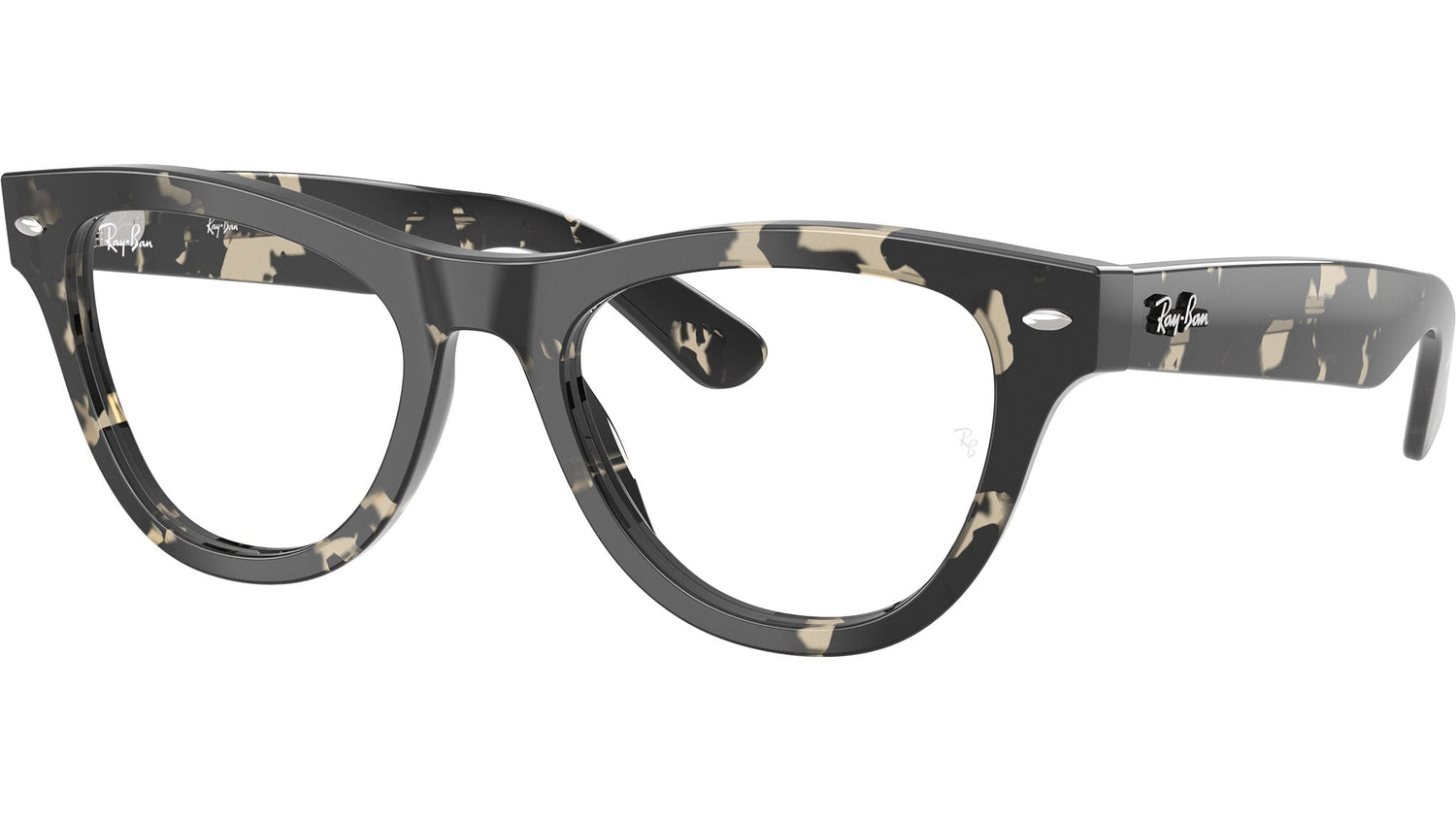 RB5510 Optics 8117