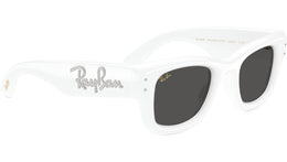 Wayfarer Puffer RB4940B 686387