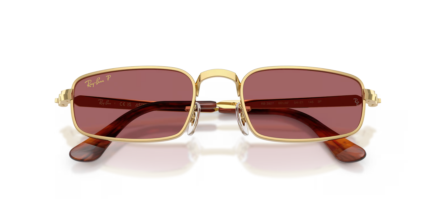 Occhiali Da Sole Ray-Ban A$AP Rocky RB3927 001/AF 54