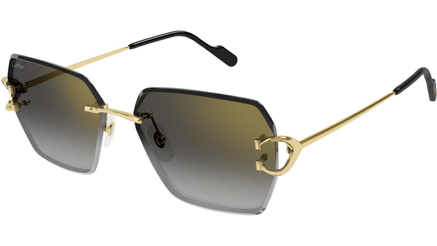 CT0466S 001 Gold Grey