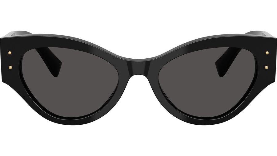 DG 4480 501/87 Black