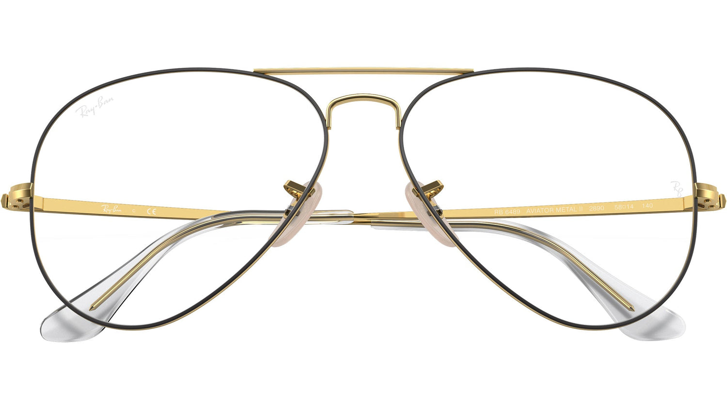 Aviator Optics RB6489 2890
