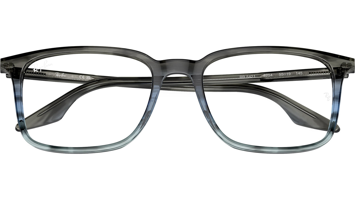 RB5421 Optics 8254