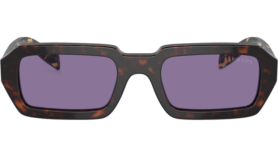 PR A12S 17N50B Tortoise