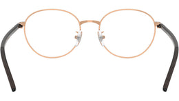 RB6538D Optics 3094