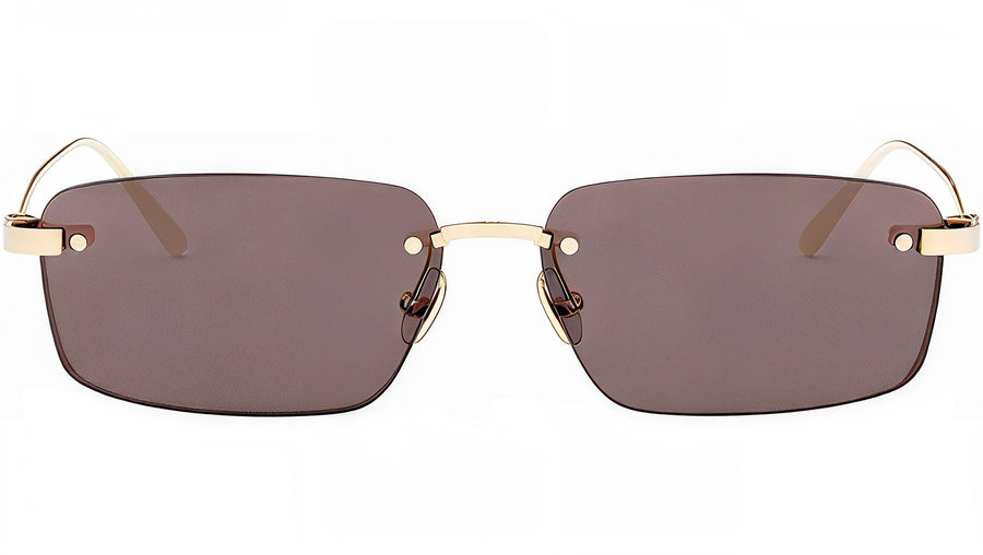CDior S4U Light Gold Rectangular Sunglasses