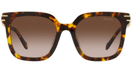 MU 13WS VAU6S1 tortoise