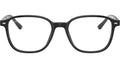Leonard Optics RB5393 2000