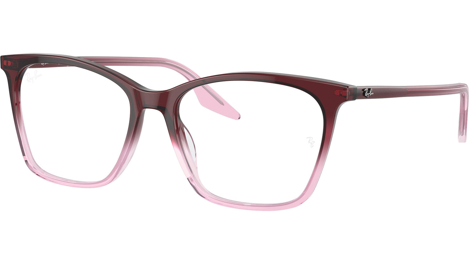 RB5422 Optics 8311