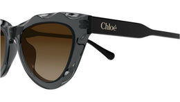 CH0294S 005