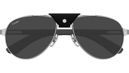 CT0495S 003 Platinum Grey