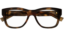 SL 677 003 Shiny Tortoise