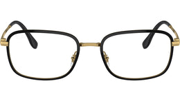 RB6495 Optics 2991