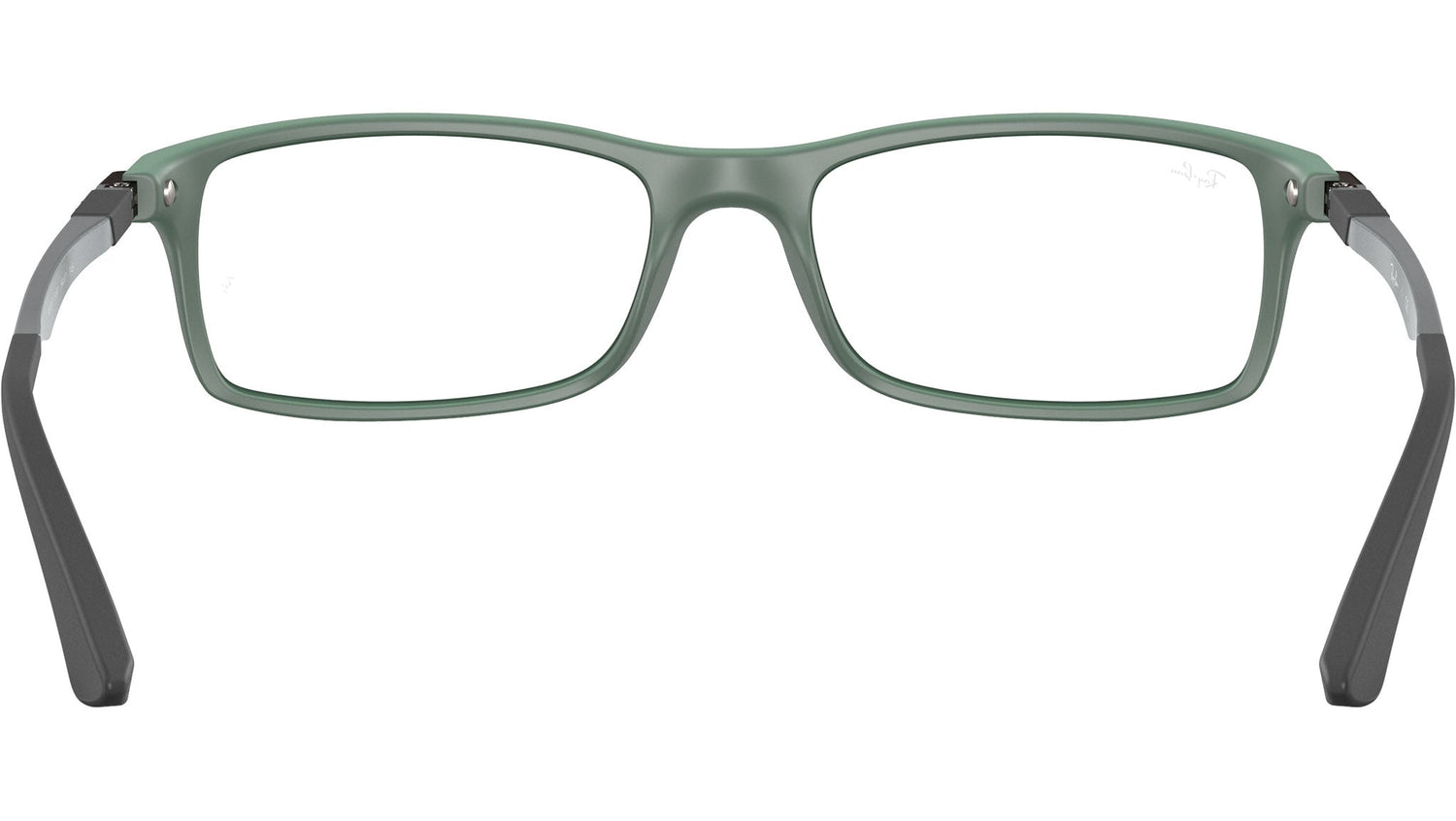 RB7017 Optics 5197