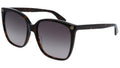 GG0022S 003