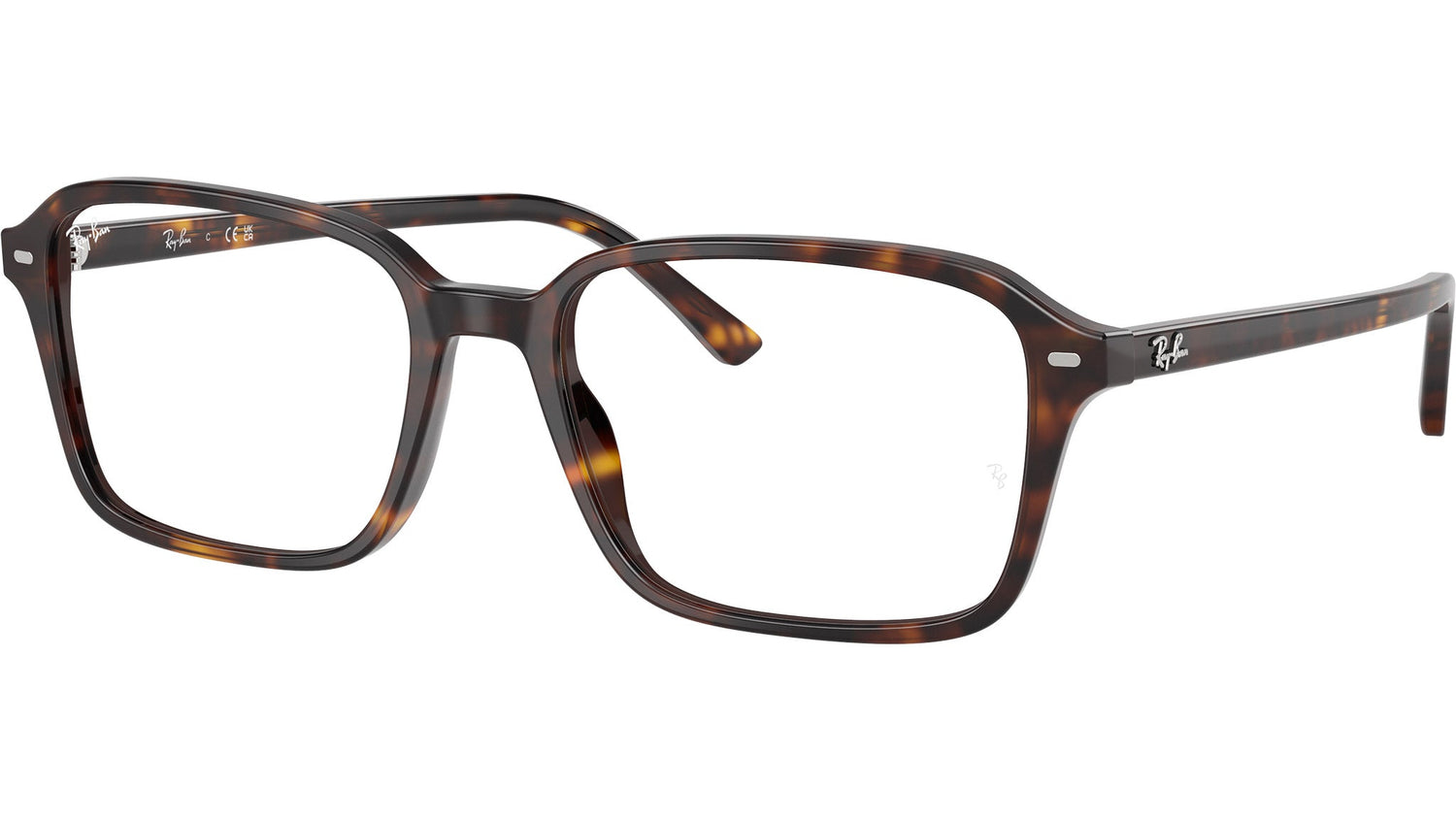 Raimond Optics RB5431 2012