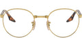RB3691V Optics 2500