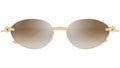 CT0504S 003 Gold Brown