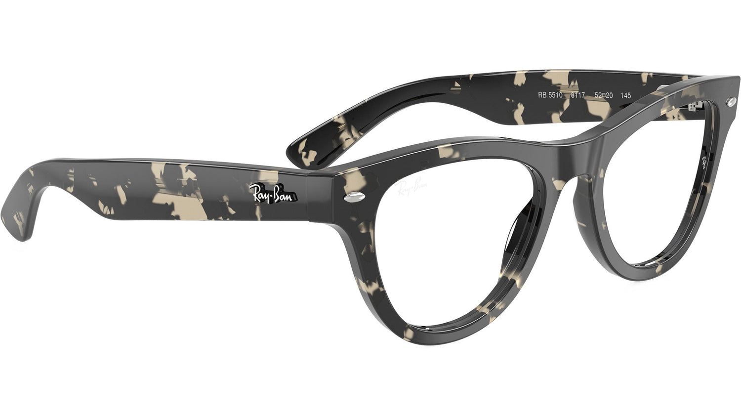 RB5510 Optics 8117