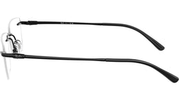 RB8781D Optics 1244
