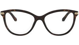 BE2280 3002 Tortoise