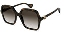 GG1072S 002