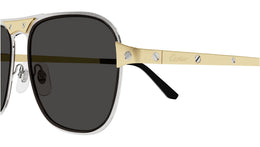 CT0532S 001