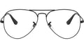 Aviator Optics RB6489 2503