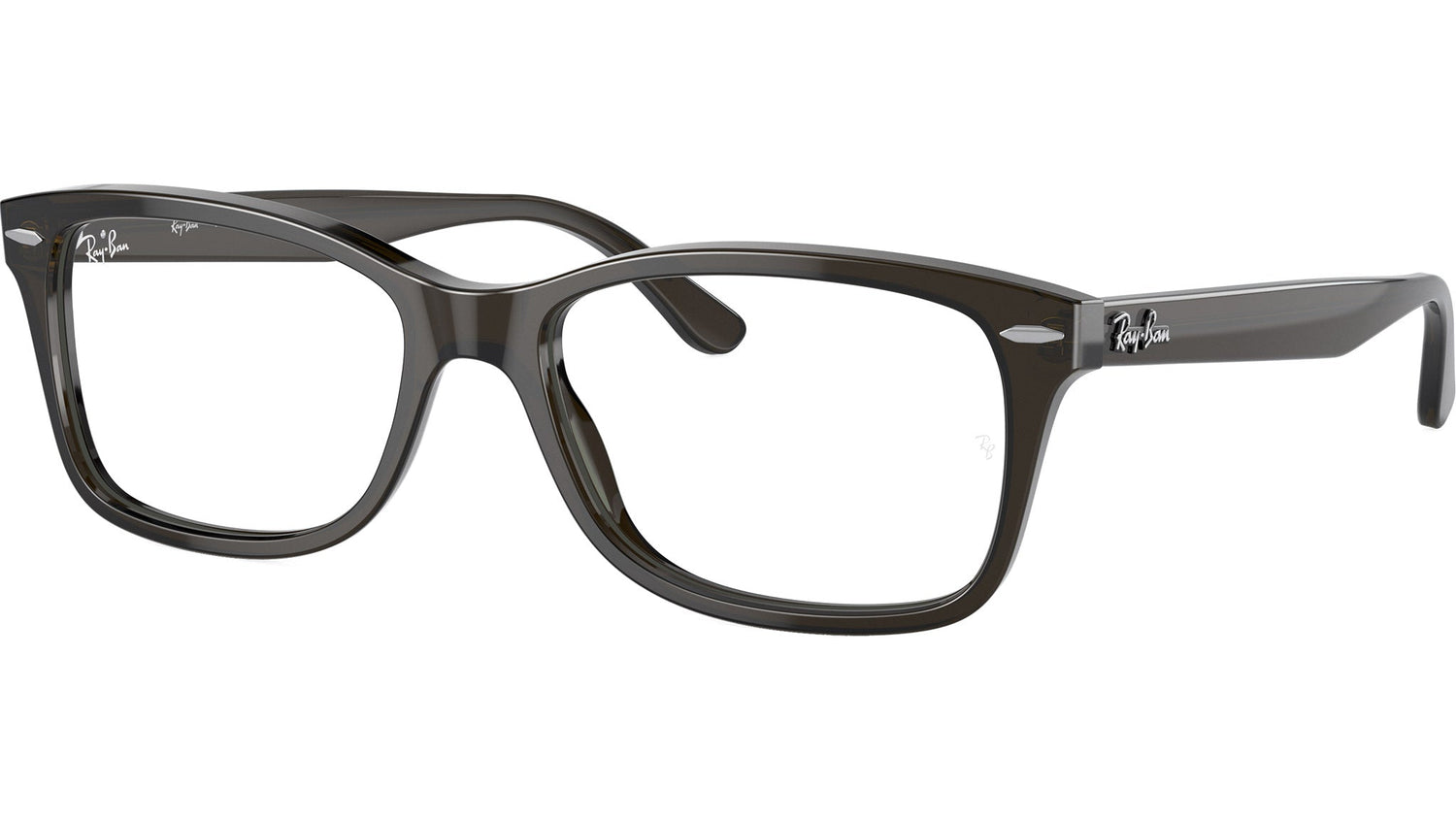 RB5428 Optics 8299