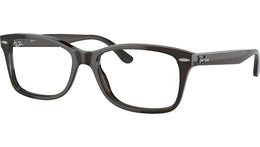 RB5428 Optics 8299