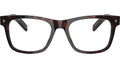 PR A13V 17N1O1 Tortoise