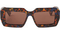 Chilensis Havana Brown