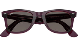 Wayfarer RB2140 1447B1