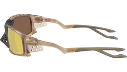Plantaris SQ OO9529 07
