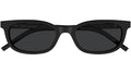 SL M160 001