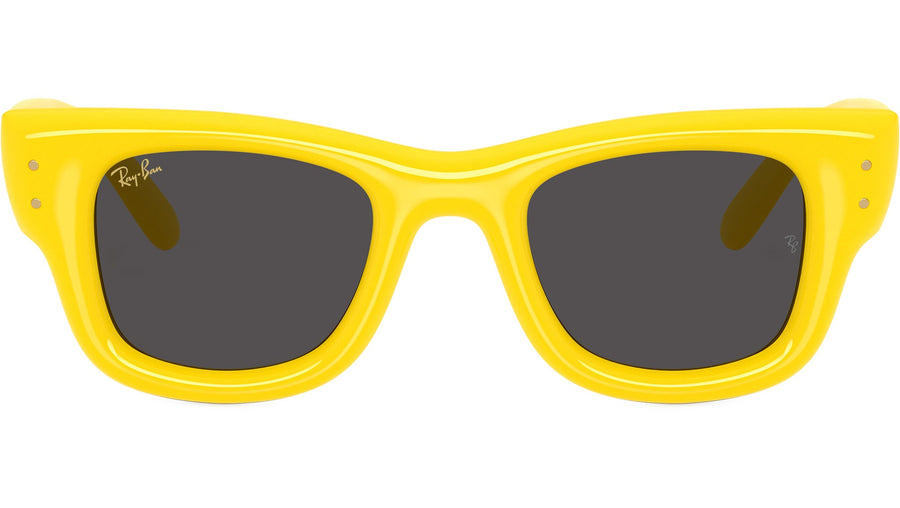 Wayfarer Puffer RB4940 683087