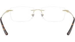 RB8781D Optics 1251