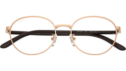 RB6538D Optics 3094