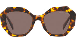 PR 16WS honey tortoise