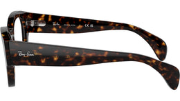 Jorge Optics RB7681V 2012