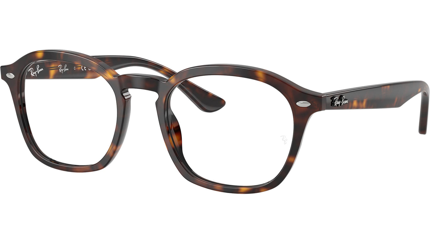 RB5451 Optics 2012