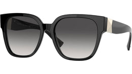 VA4111 50018G black