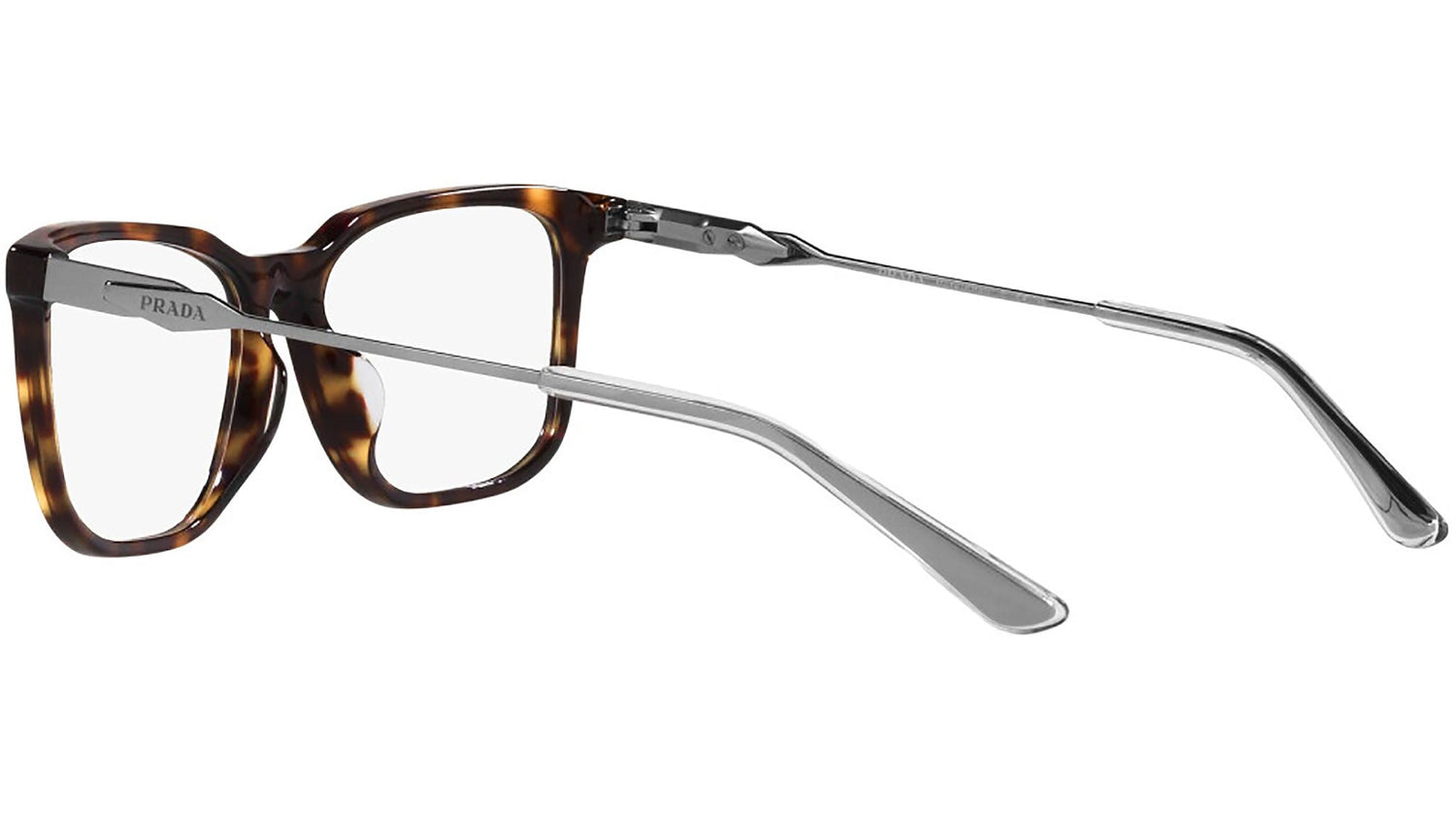 PR 05ZV tortoise