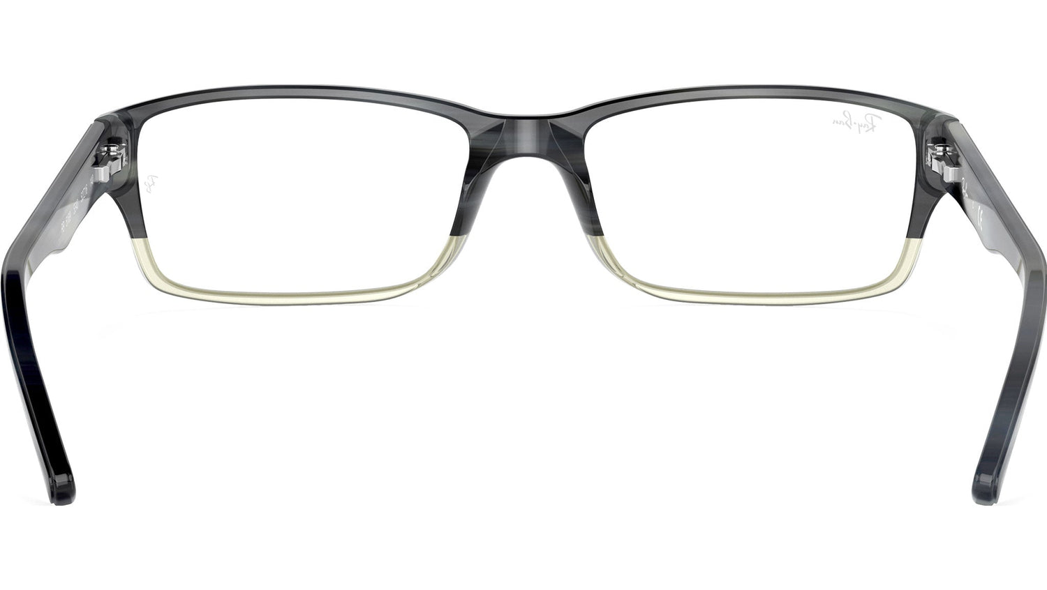 RB5169 Optics 5540