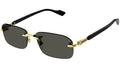 GG1221S 001