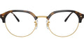 RB7229 Optics 2012