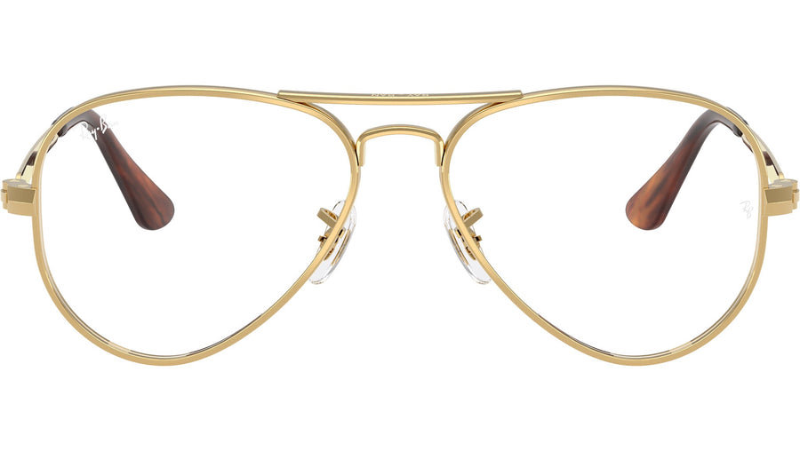 Aviator Max Optics RB3925V 2500