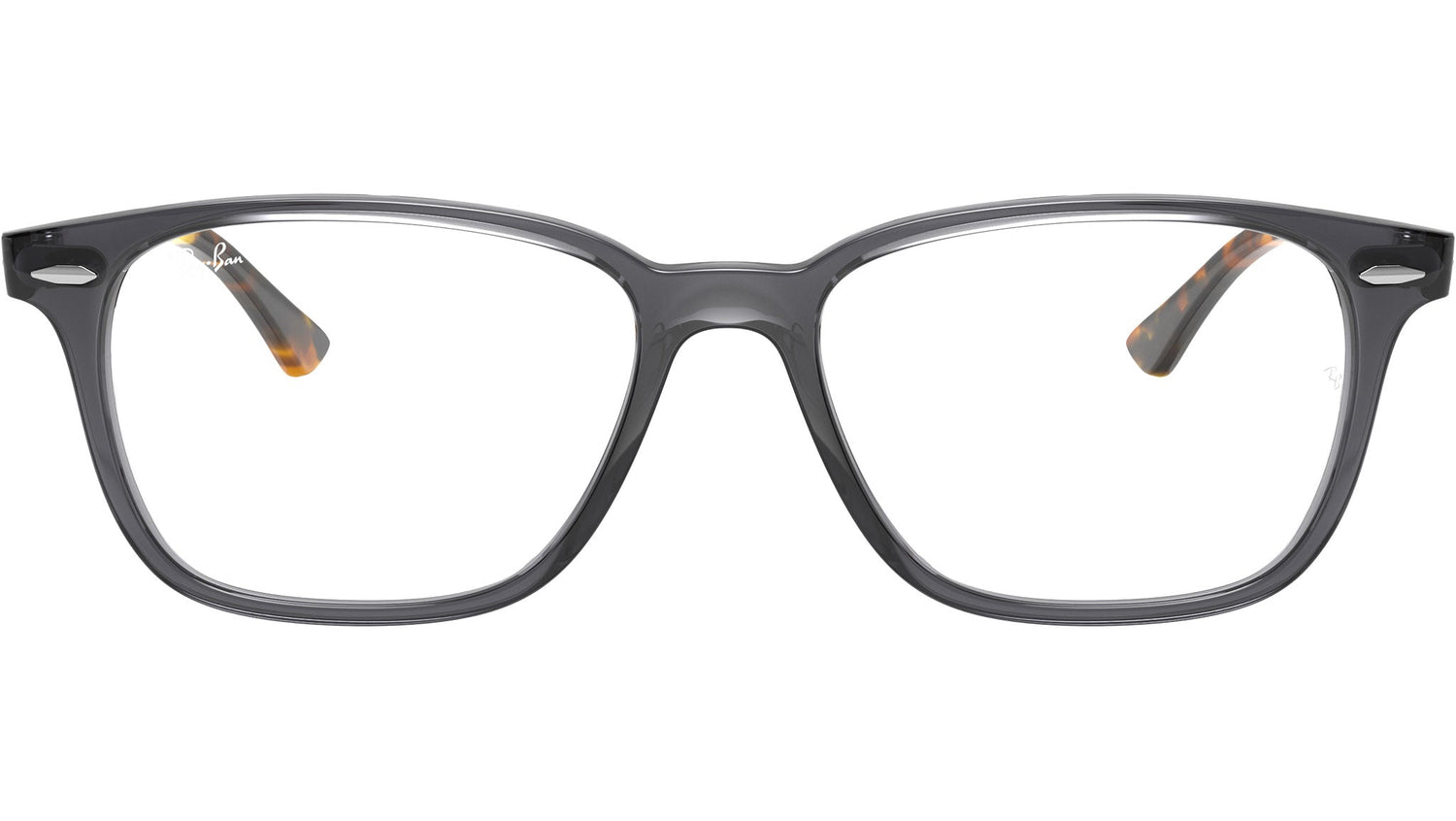 RB7119 Optics 5629